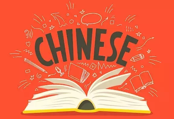 Chinese Language Curriculum: A Systematic and Pedagogical Overview