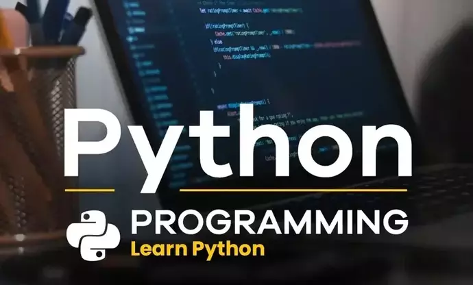 Python Development Training: Structure, Learning Mechanisms, and Industry Context