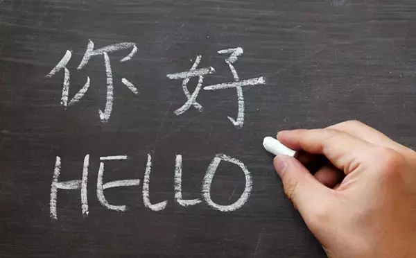 Chinese Language Courses: Foundations, Mechanisms, and Educational Context