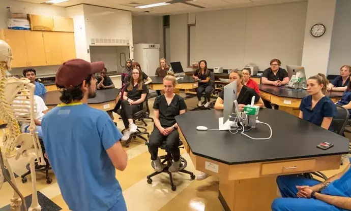 Anatomy Courses: A Scientific Overview of Structure, Learning, and Applications