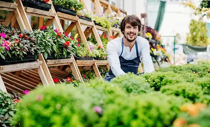 Horticulture Courses: Principles, Learning Mechanisms, and Educational Applications