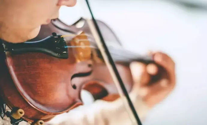 Violin Training: Fundamentals, Techniques, and Educational Approaches