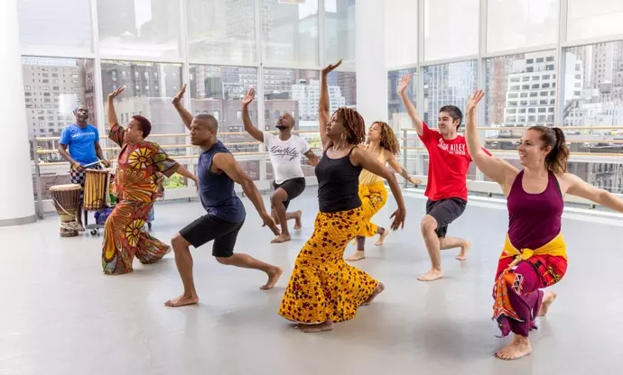 Dance Training: Concepts, Learning Processes, and Broader Context