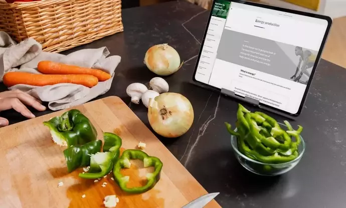 Nutritionist Training: Knowledge Systems, Clinical Applications