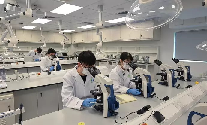 Medical Laboratory Training — Scientific Foundations, Operational Mechanisms, and Analytical Context