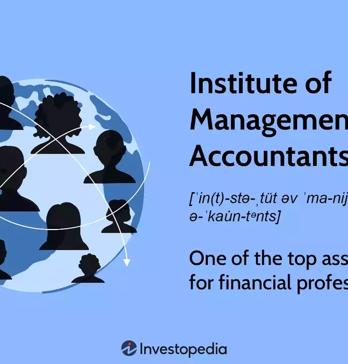 The Institute of Management Accountants: Promoting Excellence in Financial Professions