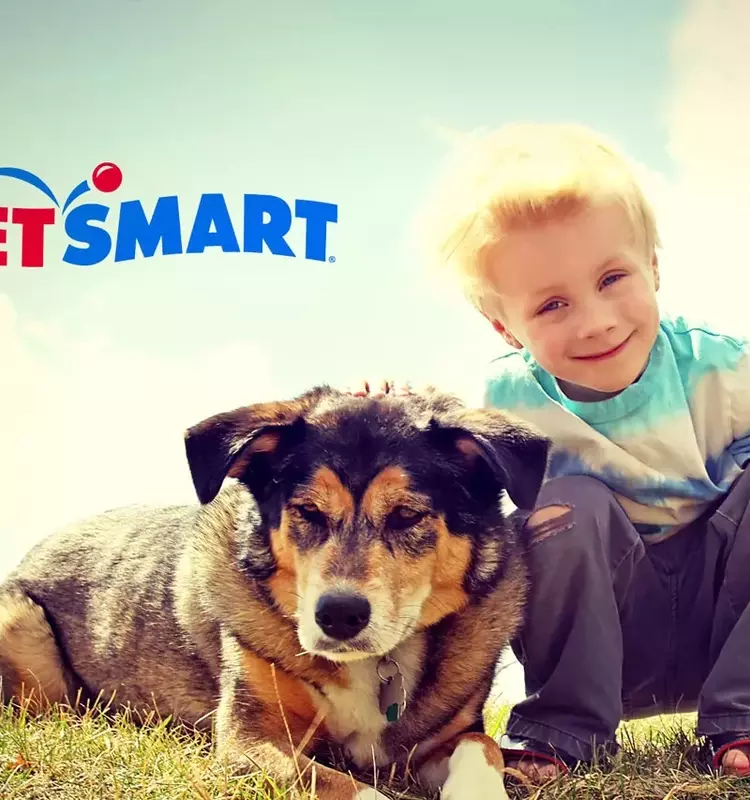The PetSmart Promise: Diverse Services and Passionate Care for Your Pets