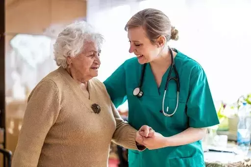 "Explore the Top Veterinary Assistant Programs of 2025" to kick-start your career