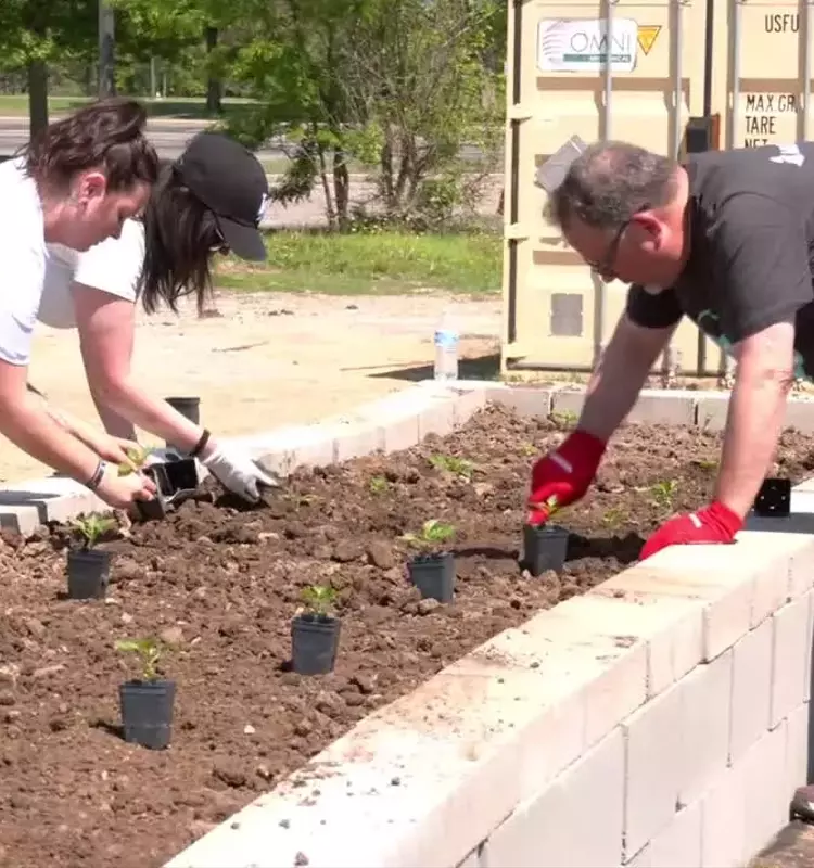 Musicians Cultivate Community Spirit Through Gardening