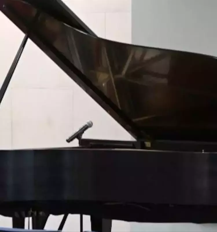 Harmonious Visions: A Pianist's Journey to Connect Through Music