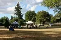 Community Melodies: Free Concert Series Enlivens Local Parks