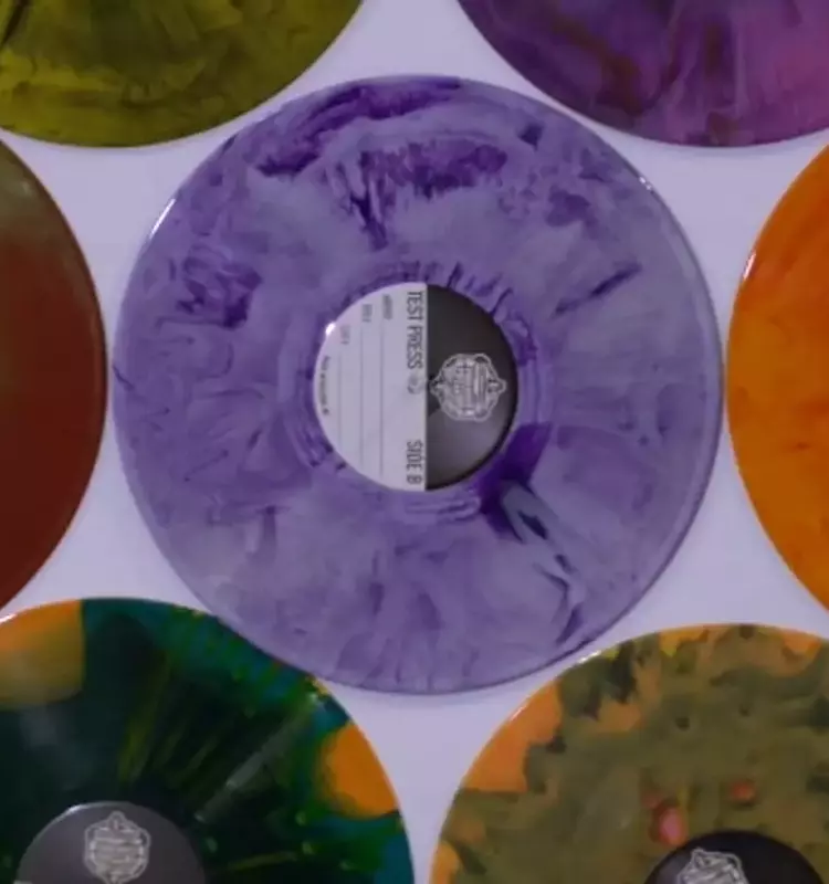 Vinyl Renaissance: A Local Business Thrives in the Triangle