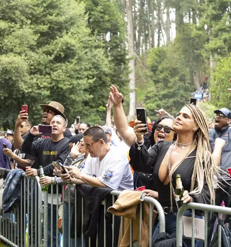 Summer Music Festivals Light Up the Bay Area Scene