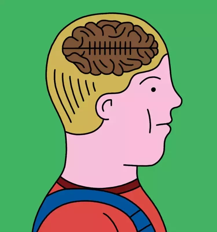 Concerns Mount Over Head Injuries in Youth Contact Sports