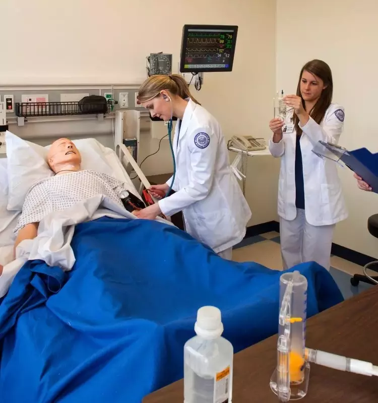 Overview of Online PSW (Personal Support Worker) Courses