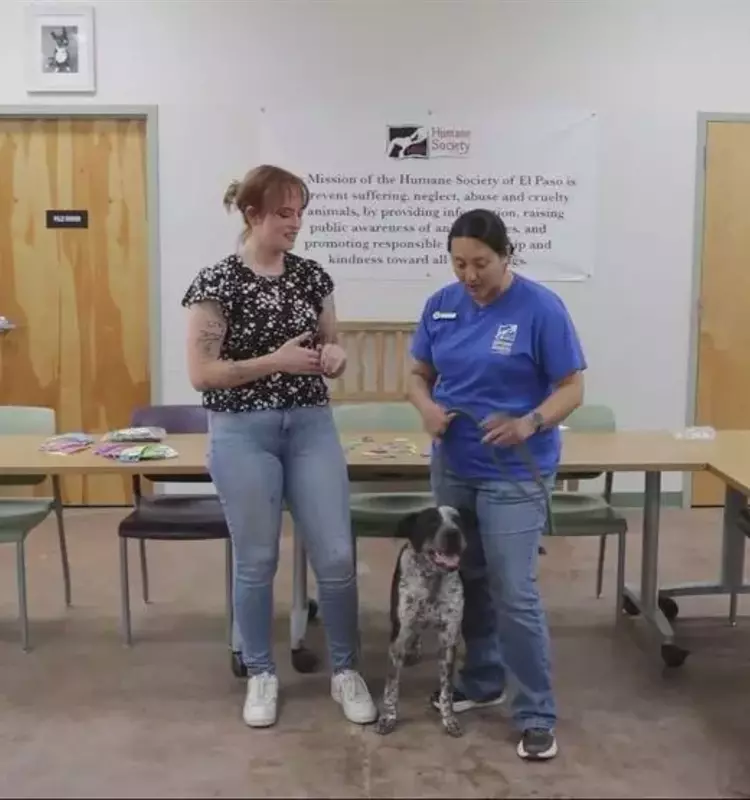 Empowering Young Hearts: El Paso's Unique Animal Advocacy Camp