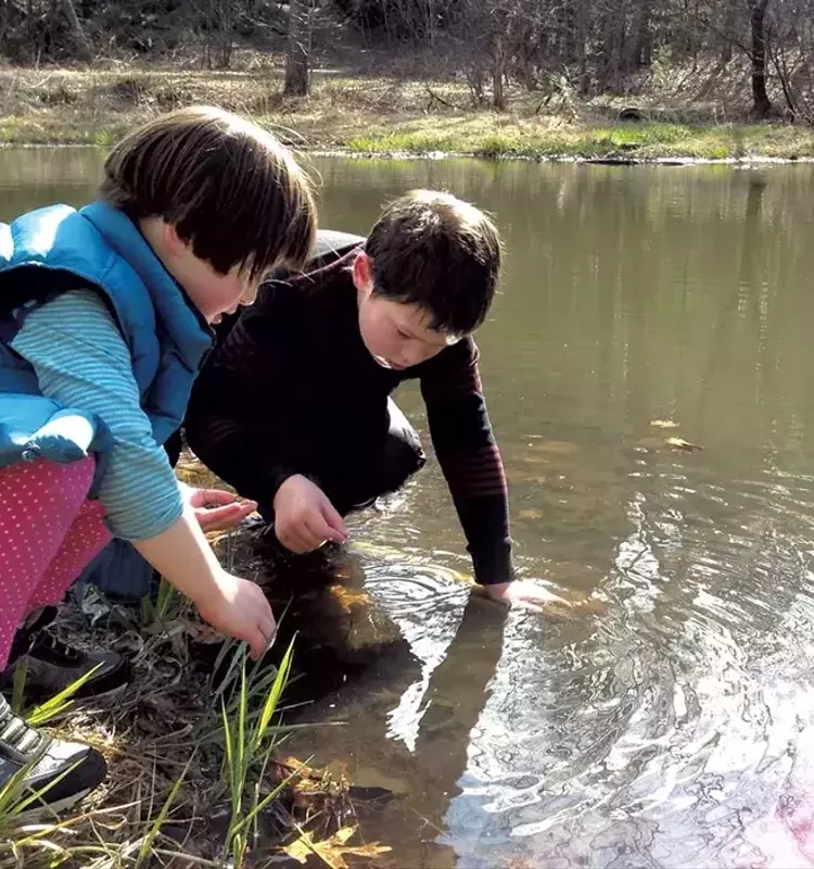 Rediscovering Nature: A Call to Embrace the Outdoors