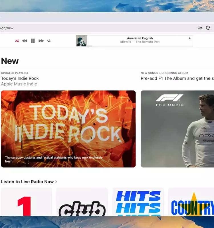 Exploring the Distinctive Features of Music Streaming Giants