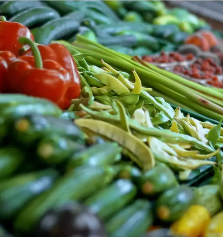 Summer Festivities Begin: Farmers Markets and Concert Series in Fox Cities