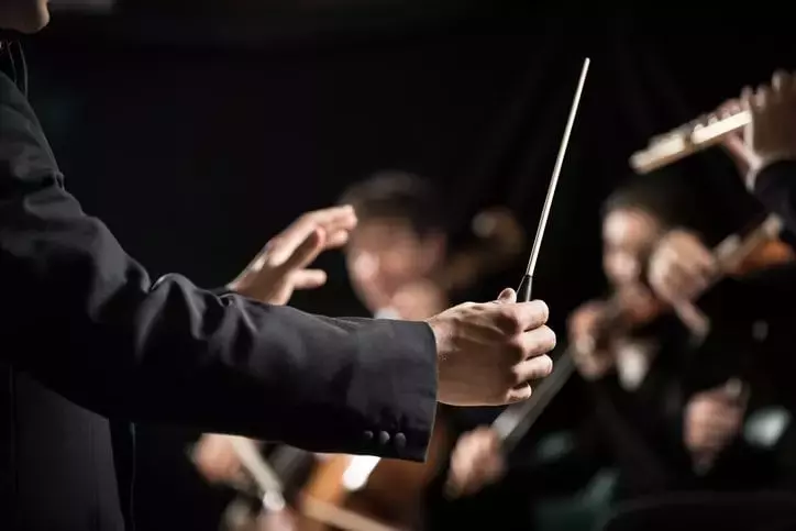 Harmonious Evenings: A Journey Through the Renova Festival