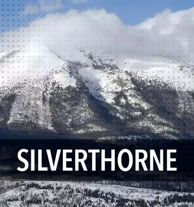 Summer Celebration in Silverthorne: A Night of Music, Crafts, and Safety Awareness