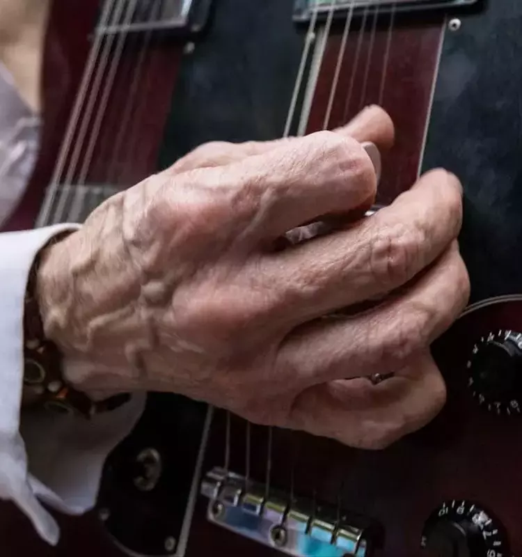 Summer Melodies: Edgebrook's Vibrant Concert Series