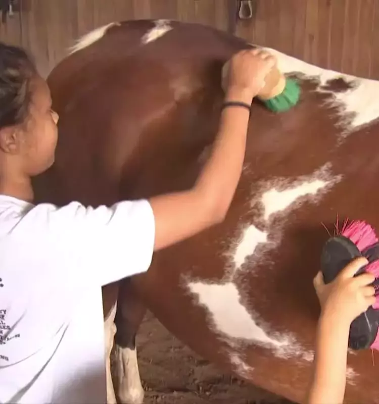 Summer Fun Awaits at the Enchanting Farm Camp