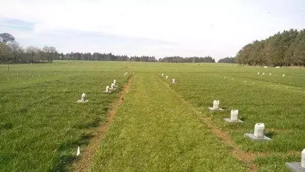 Mejora del pH del Suelo: Una Estrategia Crucial para Reducir Emisiones de Óxido Nitroso en la Agricultura