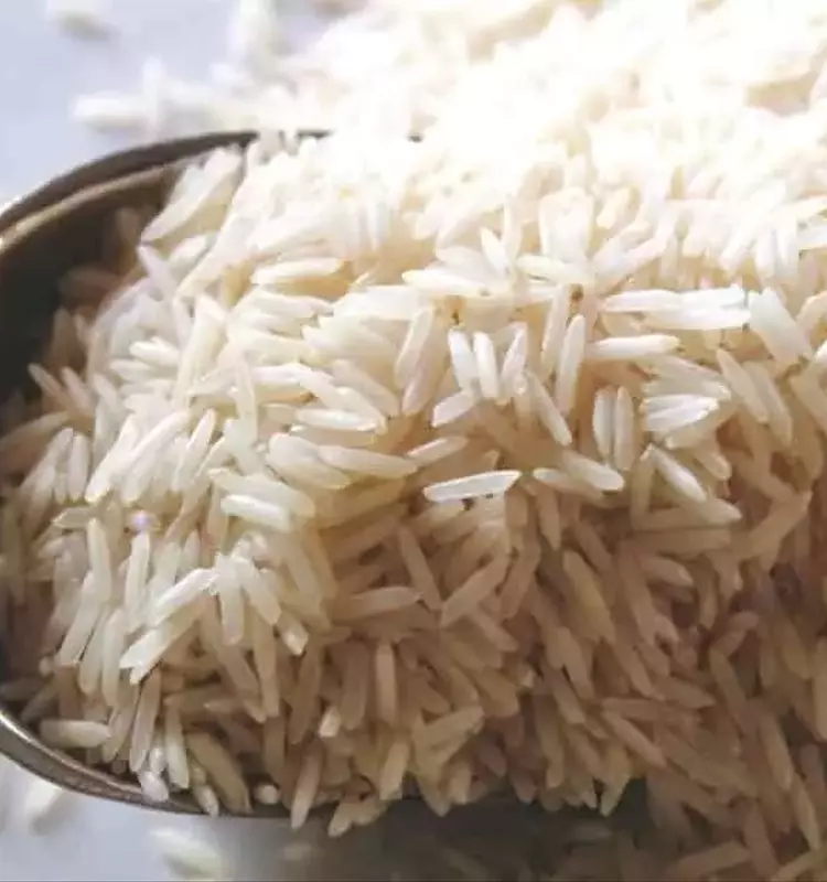 Arroz Biofortificado con Zinc: Un Avance Clave contra la Desnutrición en India
