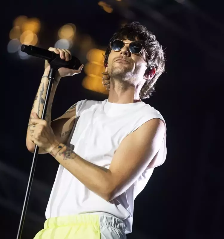 Louis Tomlinson Speaks Out Against Online Negativity