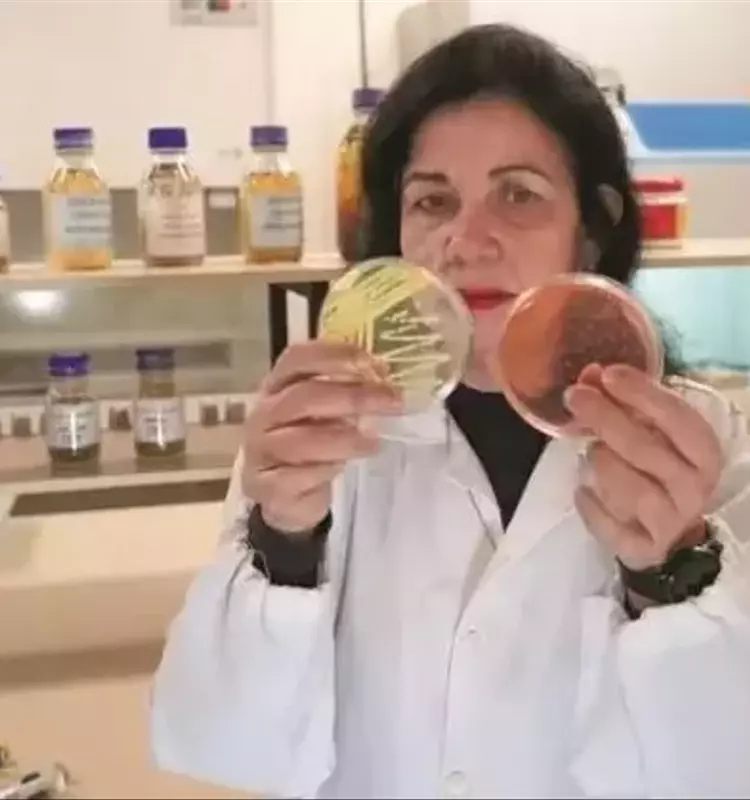 Revolución Agrícola en Brasil: Inoculación Microbiana Impulsa Maíz y Soja