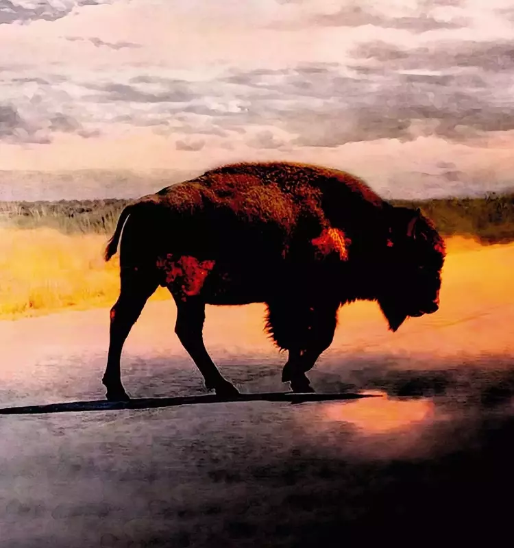 Robert Plant Unveils New Album "Saving Grace" and Announces Tour Dates