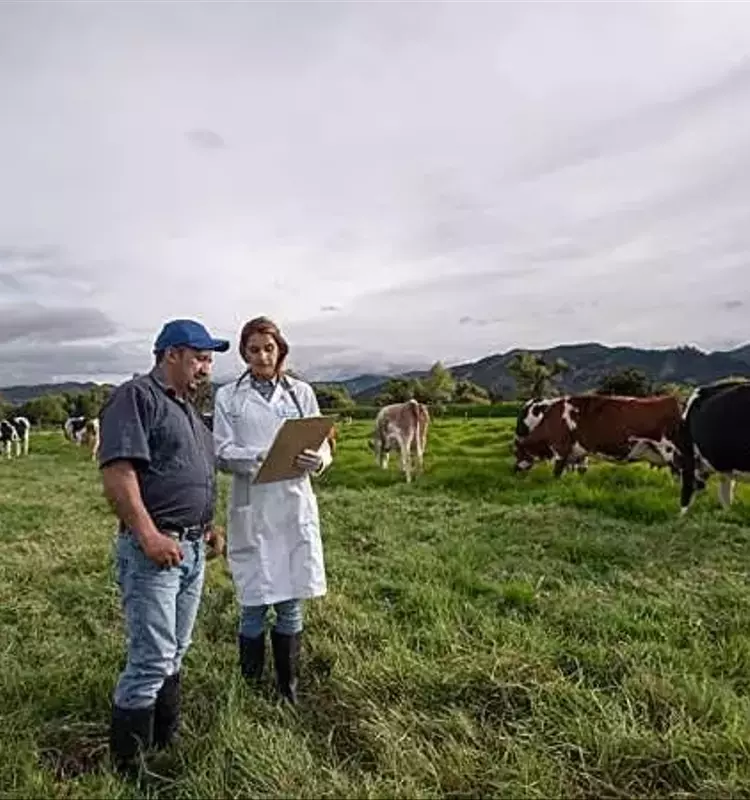 La Crucial Sinergia entre Agricultura Sostenible y Bienestar Animal
