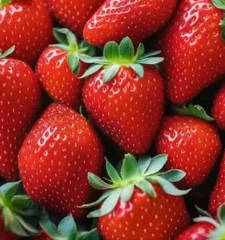 Optimización del Cultivo de Fresas Post-Cosecha para una Producción Abundante