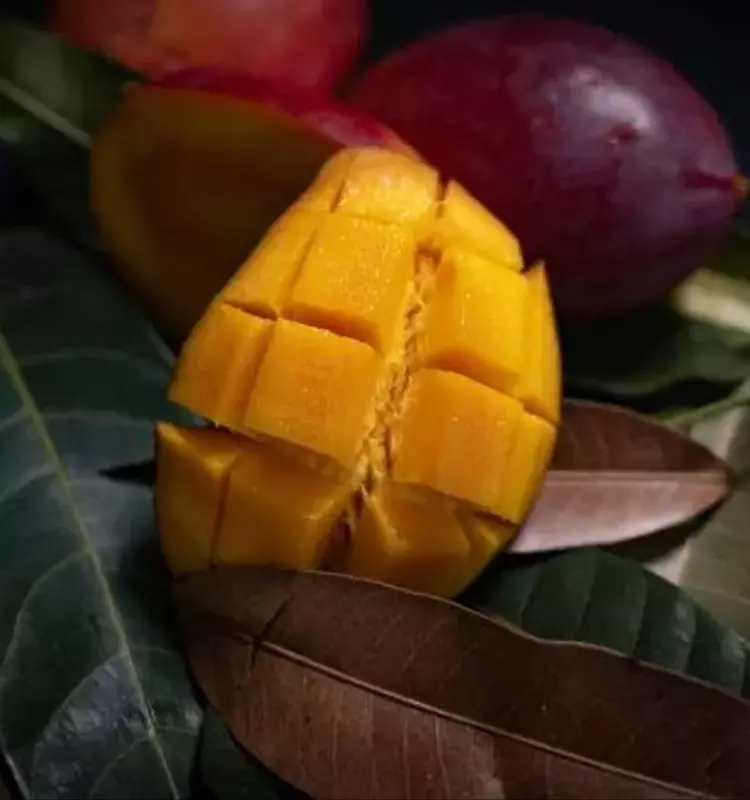 Revolucionando la Conservación del Mango: Avances en Ozonización Acuosa