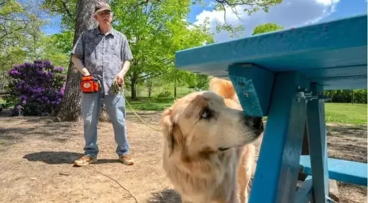 Detectando Plagas Agrícolas: La Sorprendente Habilidad Canina