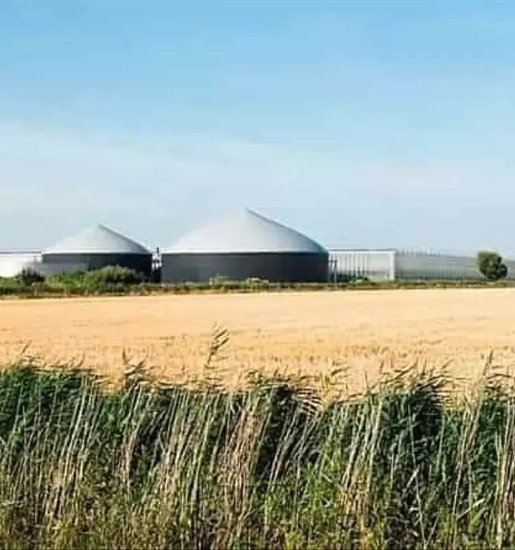 Westhof Bio: Un Modelo de Innovación en la Agricultura Orgánica Europea