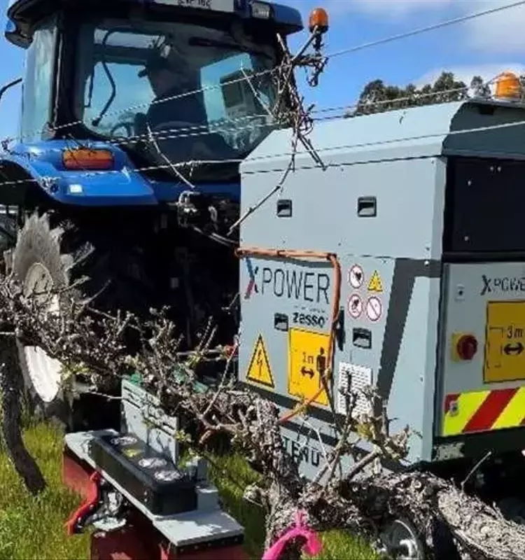 Control Eléctrico de Malezas: Innovación Eficaz para una Agricultura Sostenible