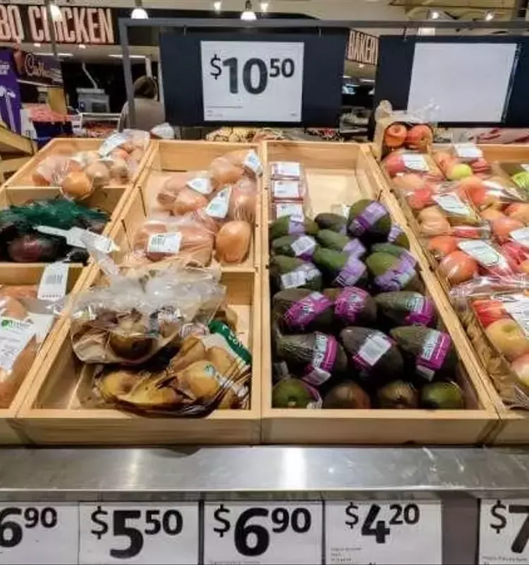 La Ciencia al Rescate del Aguacate Australiano: Estabilidad de Precios y Producción Sostenible