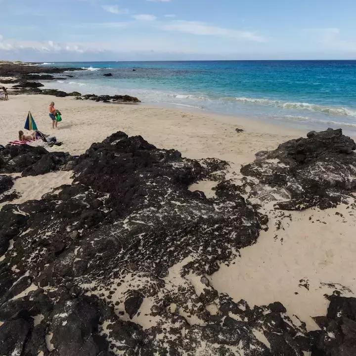 Unveiling America's Pristine Coastal Waters: A Surprising Revelation