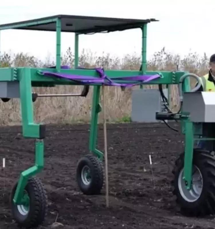 Revolución Agrícola: Robot Agrónomo Australiano Desvela Secretos de las Raíces para Cultivos Resilientes