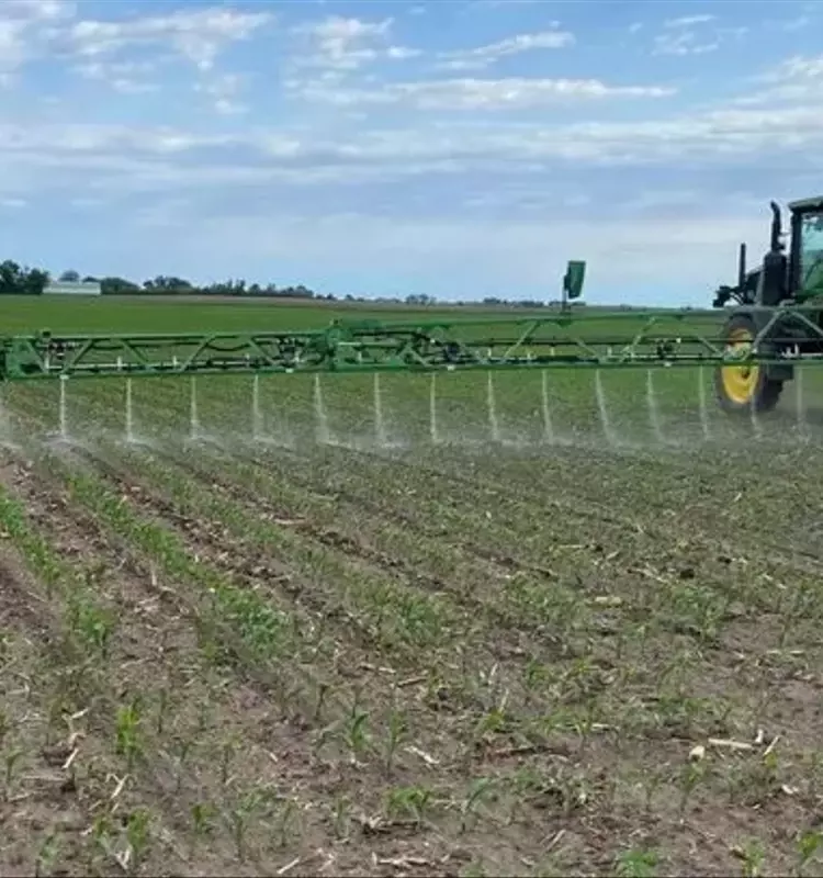 Nematodos Entomopatógenos: Innovación en Protección de Cultivos