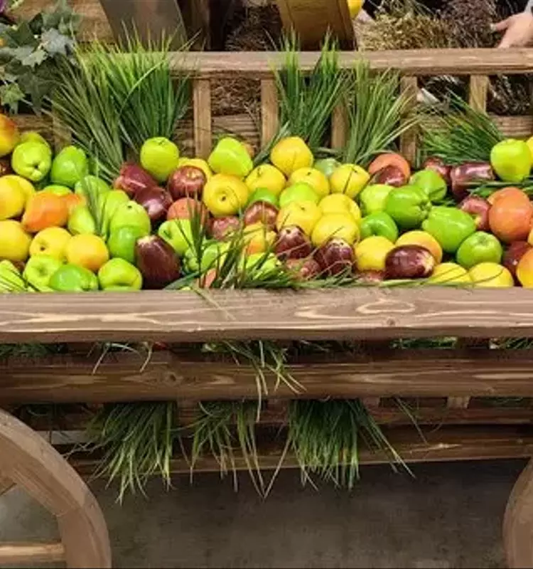 Potenciando el Huerto: Recetas de Fertilizantes Naturales para Frutales