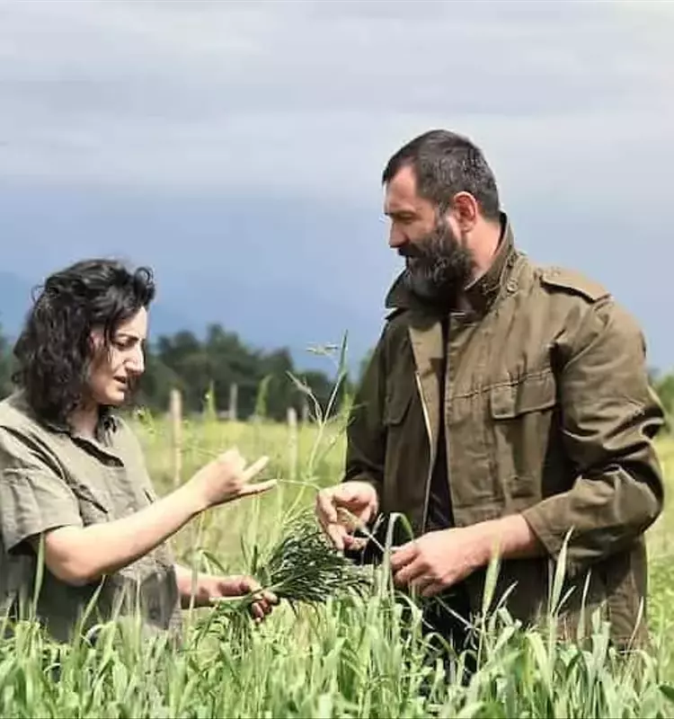 De Georgia al Búnker Ártico: Un Viaje para Preservar la Herencia del Trigo