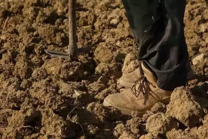 Mejora del Suelo Agrícola con Polvo de Roca: Beneficios y Consideraciones Clave