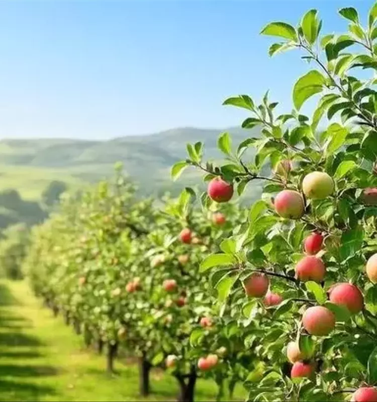 Francia en Debate: La Reaparición del Acetamiprid Genera Ola de Protestas y Desafía Ley Agrícola
