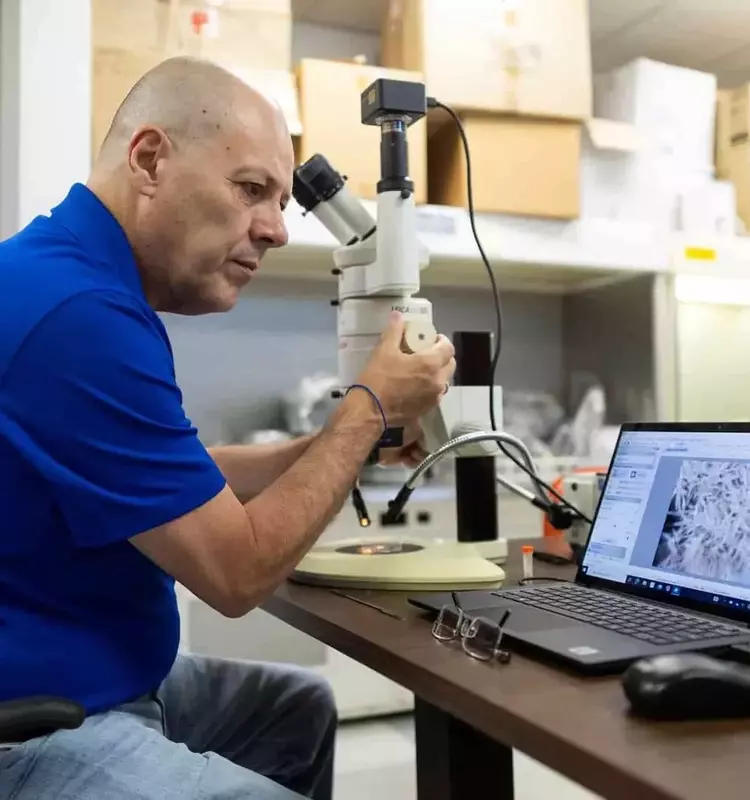 Investigación espacial: Semillas de Florida Viajan a la EEI para potenciar cultivos resilientes