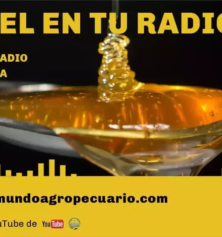 «La Miel en tu Radio»: Un Espacio Dedicado a la Apicultura y el Desarrollo Rural
