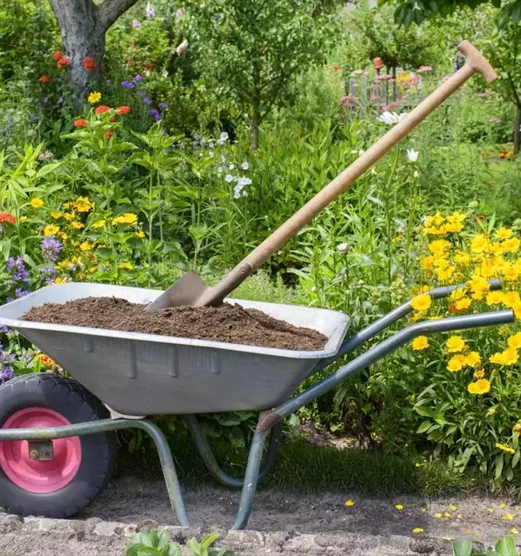 Guía Completa para la Siembra Óptima de Plantas