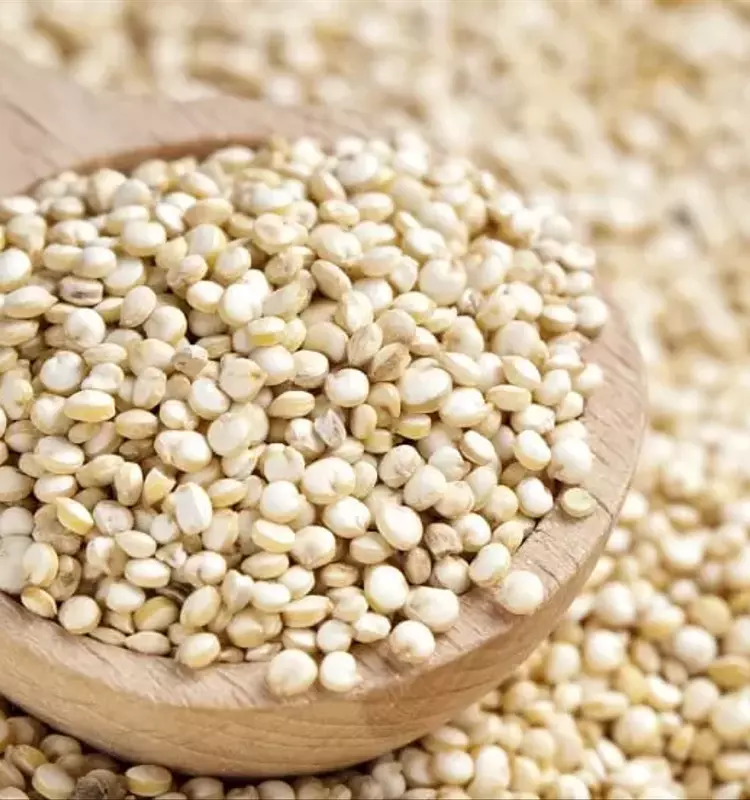 La Quinua: Un Grano Nutritivo con Propiedades Excepcionales para la Salud y el Cultivo